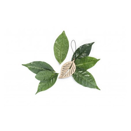 The Leaf Zielona Herbata i Bergamotka - pachnąca zawieszka do samochodu